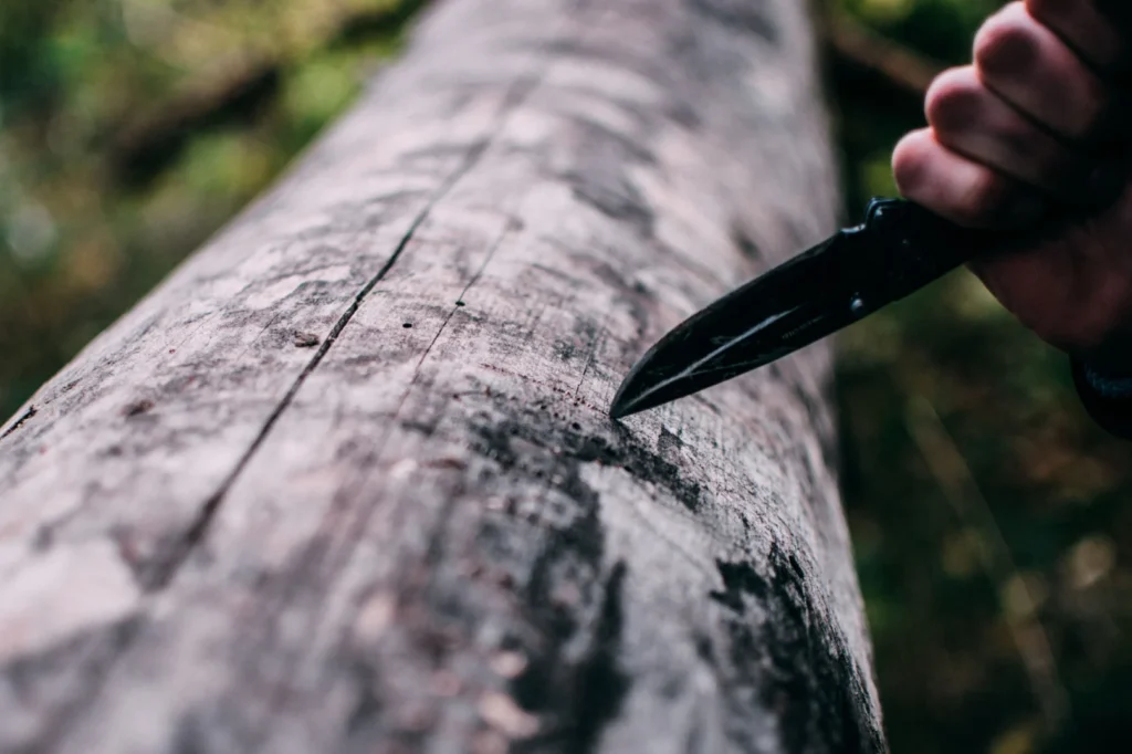 Hand using a black penknife to carve into a fallen tree trunk outdoors.