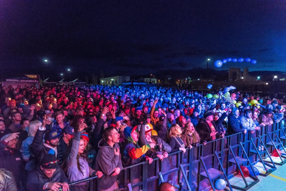Crowd at a festival listening to an act